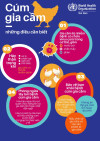 Infographic của WHO về bệnh cúm gia cầm